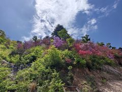 -岳西天峡风景区