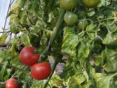 -沃合农家小馆(半壁街店)