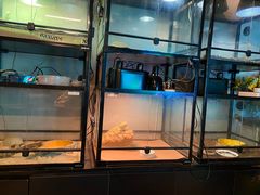 -抱暴龙爬宠·异宠·撸宠撸爬主题馆(大学路店)