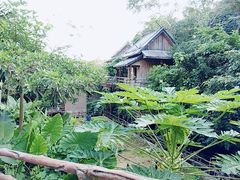 -海南槟榔谷黎苗文化旅游区