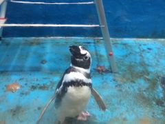 -青岛海底世界-水族馆
