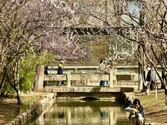 -三里河公园