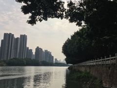 -光明港公园
