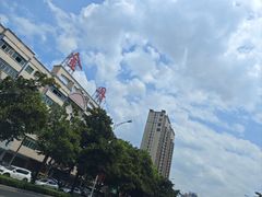 -金丹酱板鸭营业厅(紫缘路店)