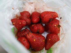 -雪儿钱局泡菜