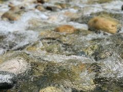 -黑河国家森林公园