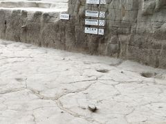-金沙遗址博物馆