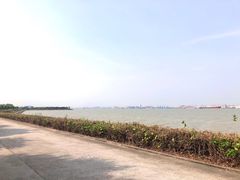 -海鸥岛