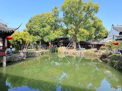 -上海醉白池公园