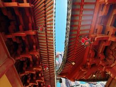 -上海东林寺(金山区)
