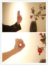 -柏姿舞蹈工作室