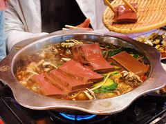 猪血-古田会·肥肠鸡(古田店)