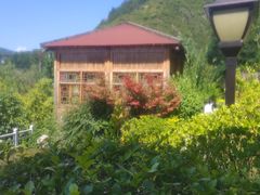 -麦积山温泉