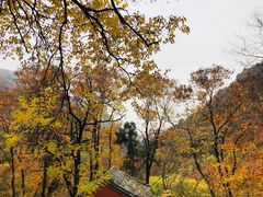 -北京上方山国家森林公园
