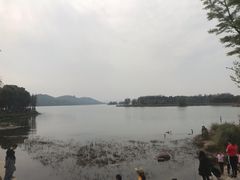 -东湖落雁景区