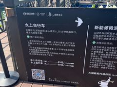 -金鸡湖桃花岛