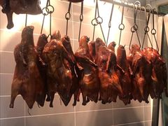 -守柴炉烤鸭(科华中路王府井店)