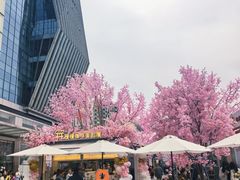 -首开·龙湖成都西宸天街