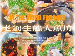 -老刘生态大鱼坊铁锅炖鱼(赛马场店)