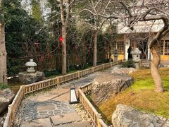 -青藤茶馆(南山路店)