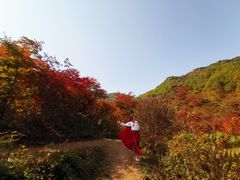 -龙道沟景区