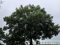 -东钱湖旅游度假区