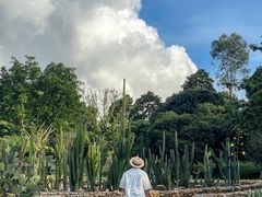 -东莞植物园