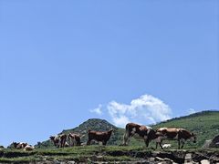 -灵山