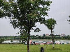 -梁子湖风景区