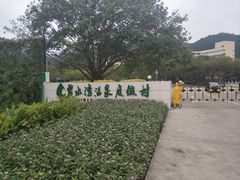 -碧水湾温泉