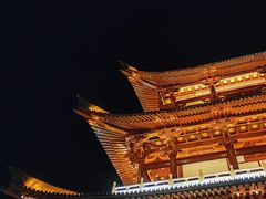 -杜甫江阁