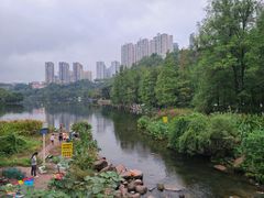 -重庆彩云湖湿地公园