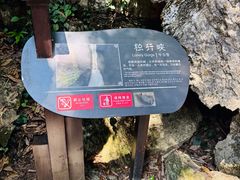 -梭布垭石林景区