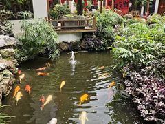 -聚福宝合苑食府(南头镇店)