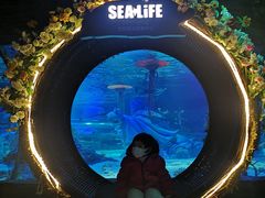 -沈阳海洋探索中心