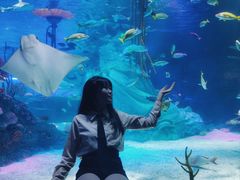 -沈阳海洋探索中心