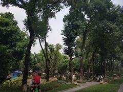 -东风公园