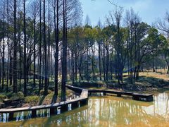 -杭州植物园