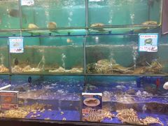 水产区-南海渔家•海鲜•正宗海南菜(海棠湾店)