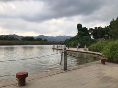 -长兴太湖图影湿地文化园