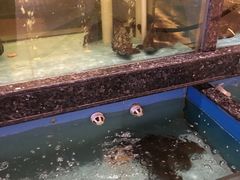 -国惠大酒楼(爱琴海购物公园店)