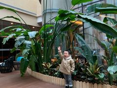 -青岛海尔洲际酒店