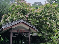 -广州市白云山风景名胜区