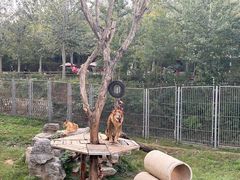 -济南野生动物世界