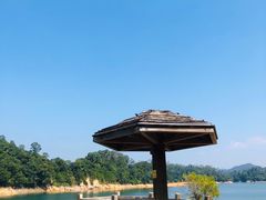 -广州市流溪河国家森林公园