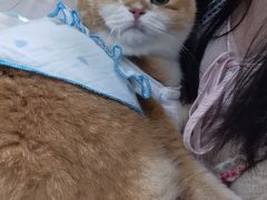 -佳雯宠物医院·皮肤科·内外科(春晓路分院)