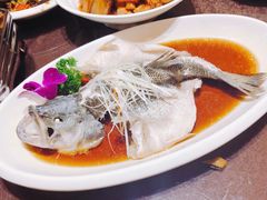 -刘胖子家常菜·蹄花焖藕(中央花园店)