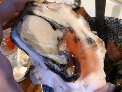 -Tanuki Raw(Orchard Central)