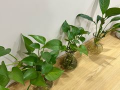 -强手盲人推拿·颈肩腰背调理(南新路店)