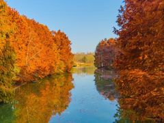 -上海海湾国家森林公园